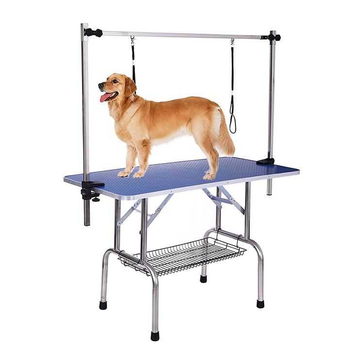 46-blue-grooming-table-with-two-nooses_81207.jpg