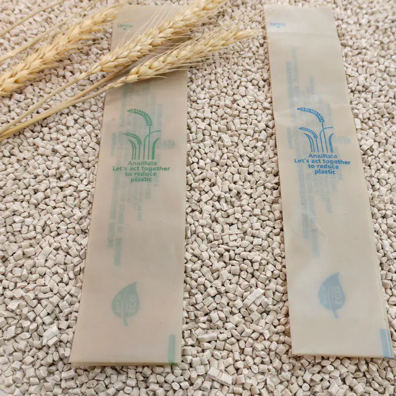 The Rise of Bio-Based Plastics: A Sustainable Alternative to Conventional Plastics