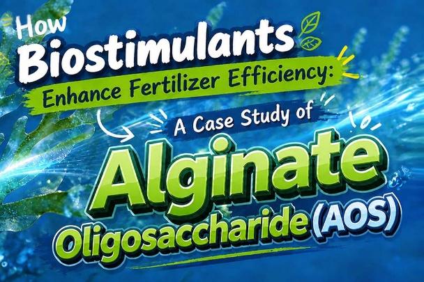 China Fertilizer Additive Suppliers: Driving Agricultural Efficiency Worldwide