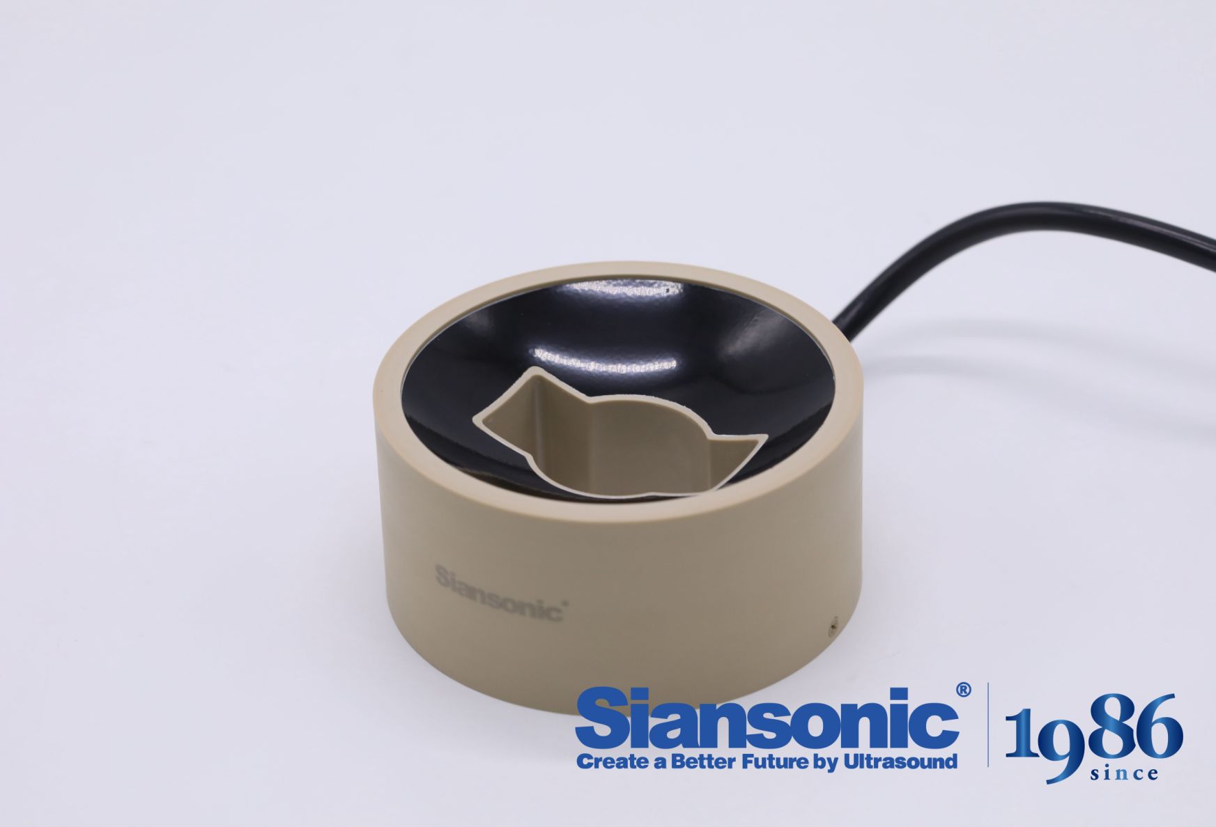Top tFUS Transducers for Advanced Neuromodulation Research