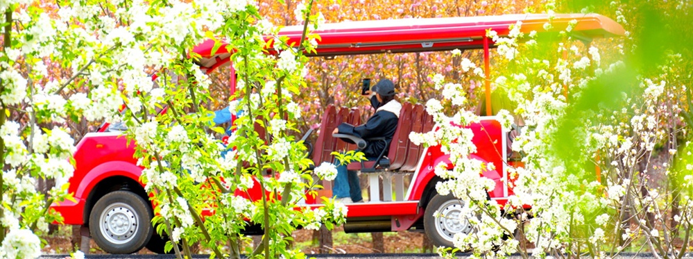 How to Experience Yushui Village: A Complete Visitor's Guide