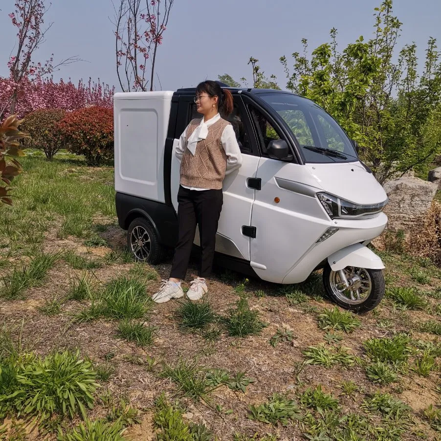 EEC Approval 4kw Motor 4 Wheel Electric Food Delivery Van