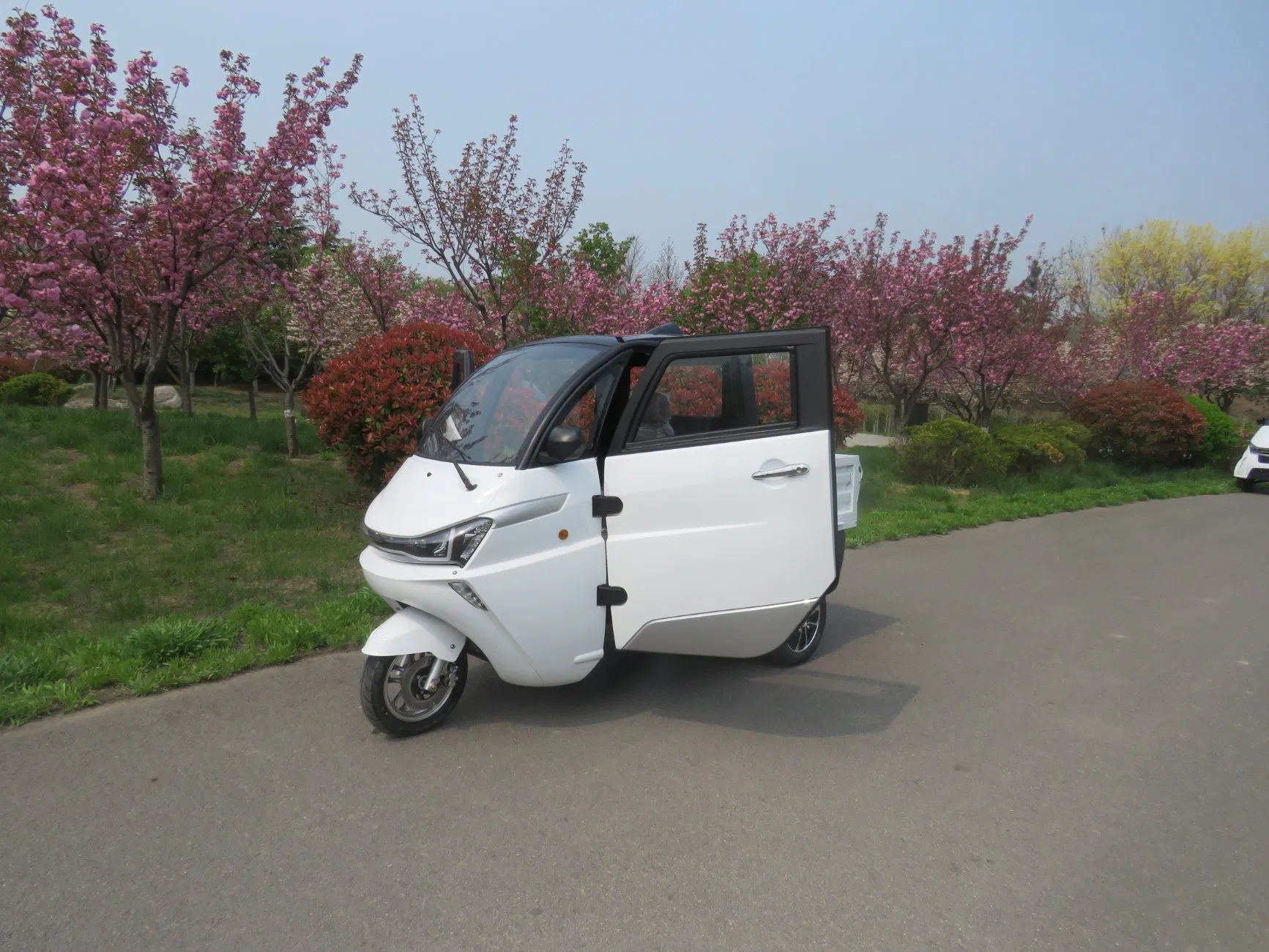 EEC Coc Closed Cabin 2 Seater 3kw Electric Motorized Tricycles Cargo Car