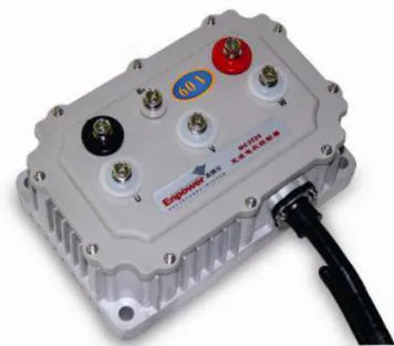 EEC Standard 4 Wheel 60V3000W Low Speed EV for Transportion