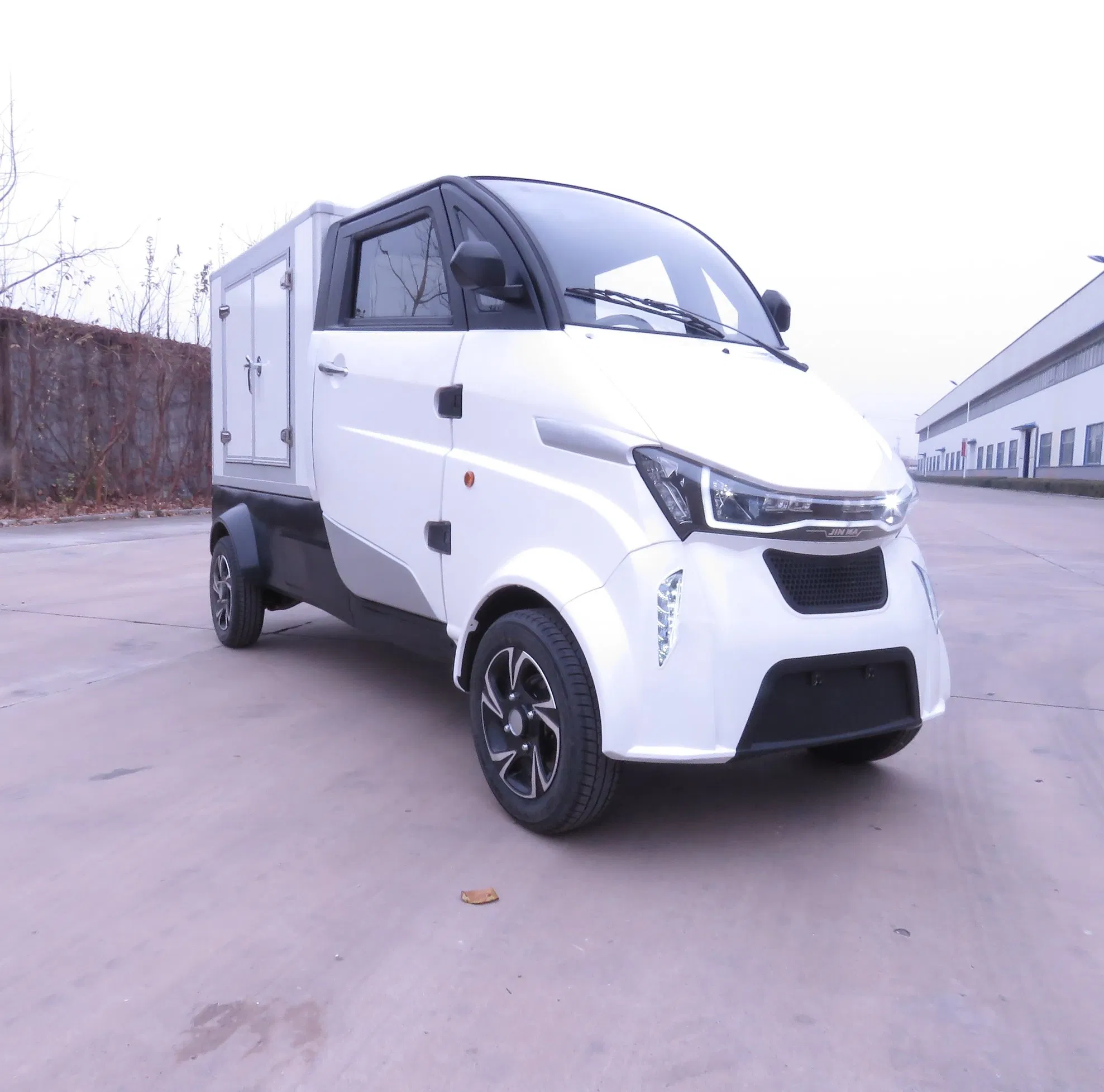 Four Wheel 4000W Luxury Mini Cargo for Europe Market