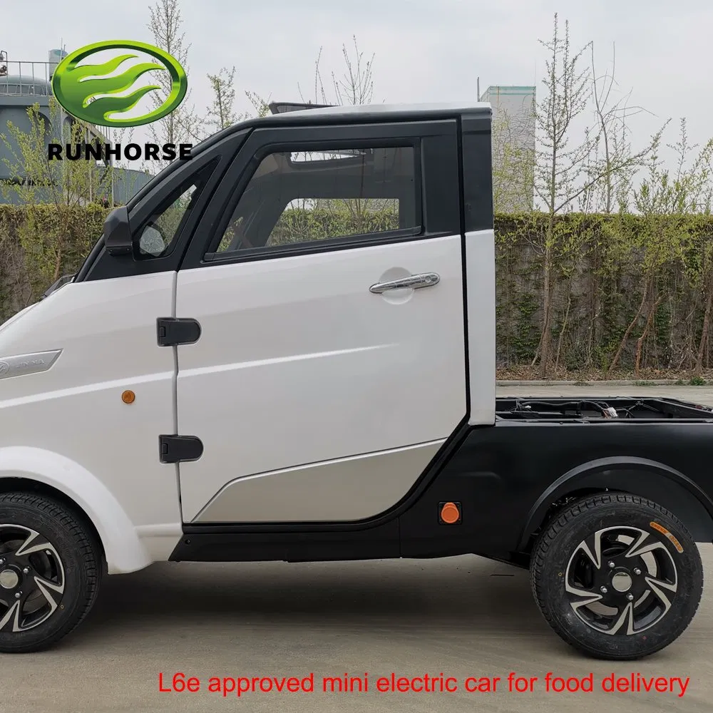 L6e Coc CCC Ce Approved 3000W Electric Car for Logistic