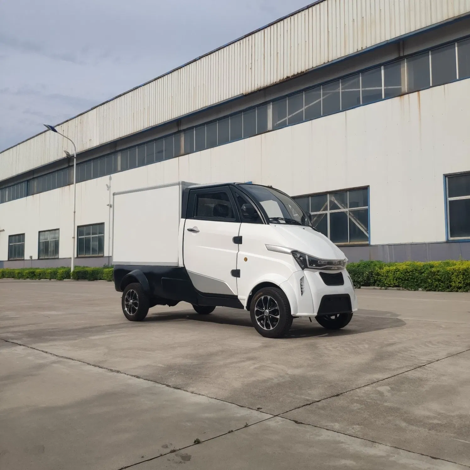 Mobility 4kw Pure Electricity Power Cargo with EEC
