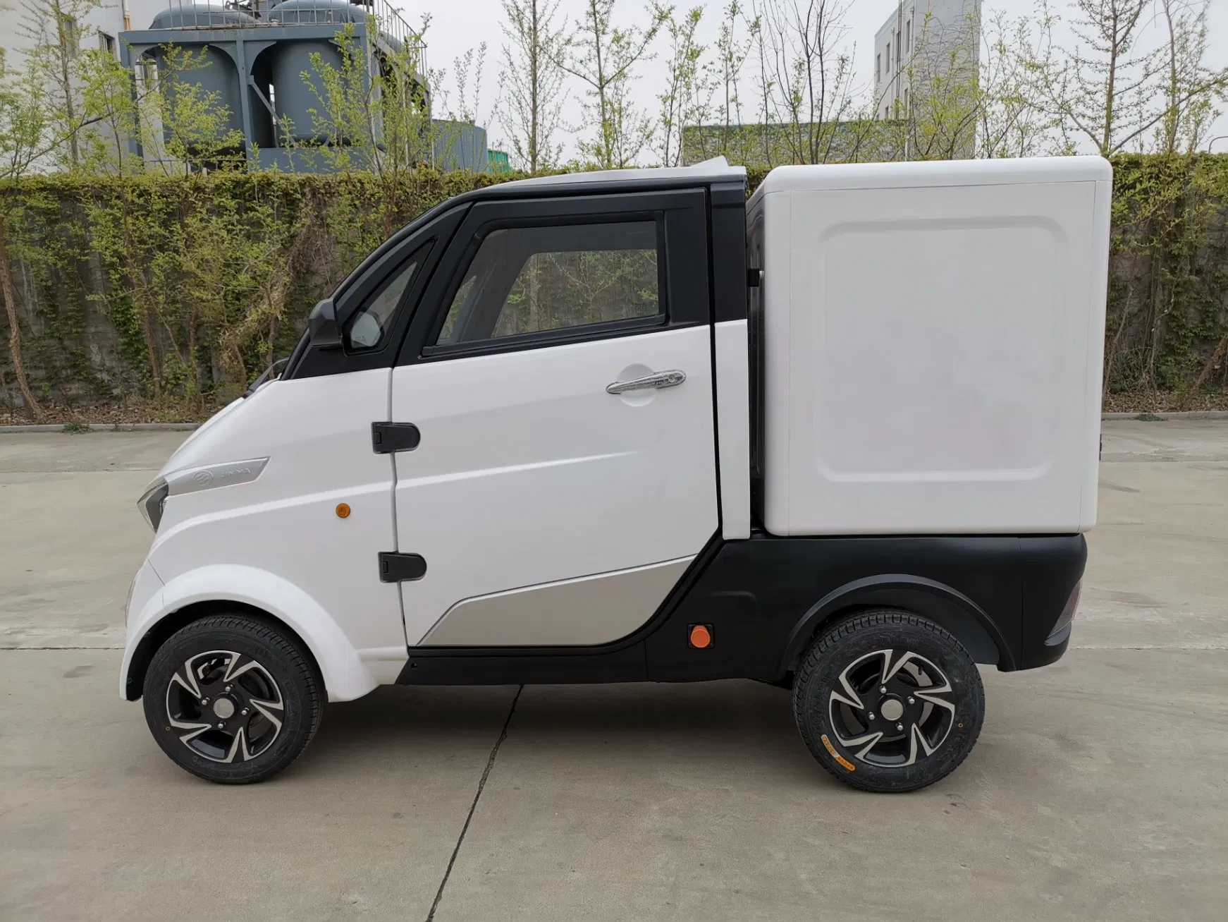 New Arrival Electric Scooter Cargo with EEC Ceritficate