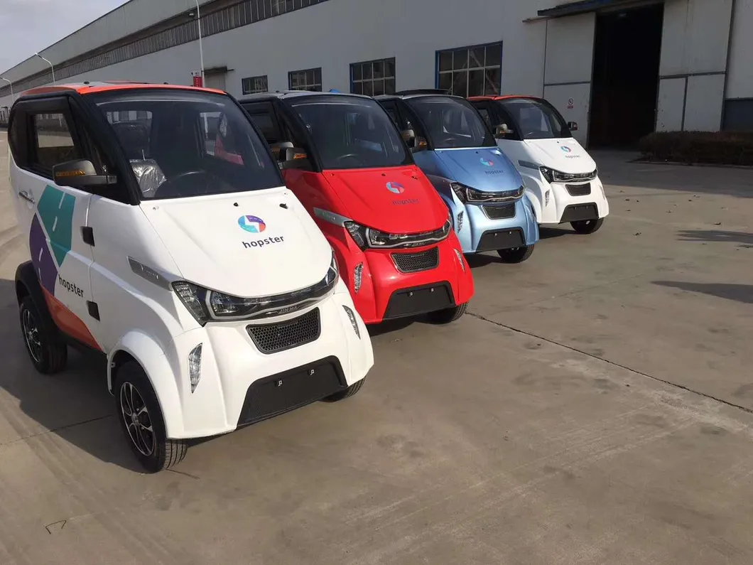 New Energy 3000W Food/Vegetables/Fruits/Express Delivery Car