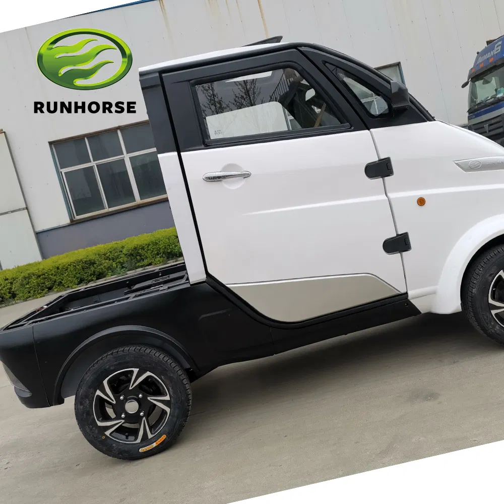 New Energy 3000W Food/Vegetables/Fruits/Express Delivery Car