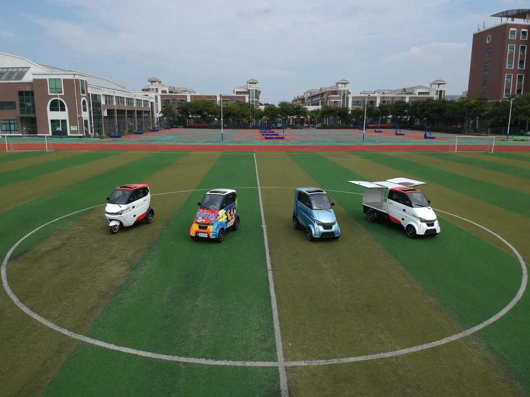 New Energy 3000W Food/Vegetables/Fruits/Express Delivery Car